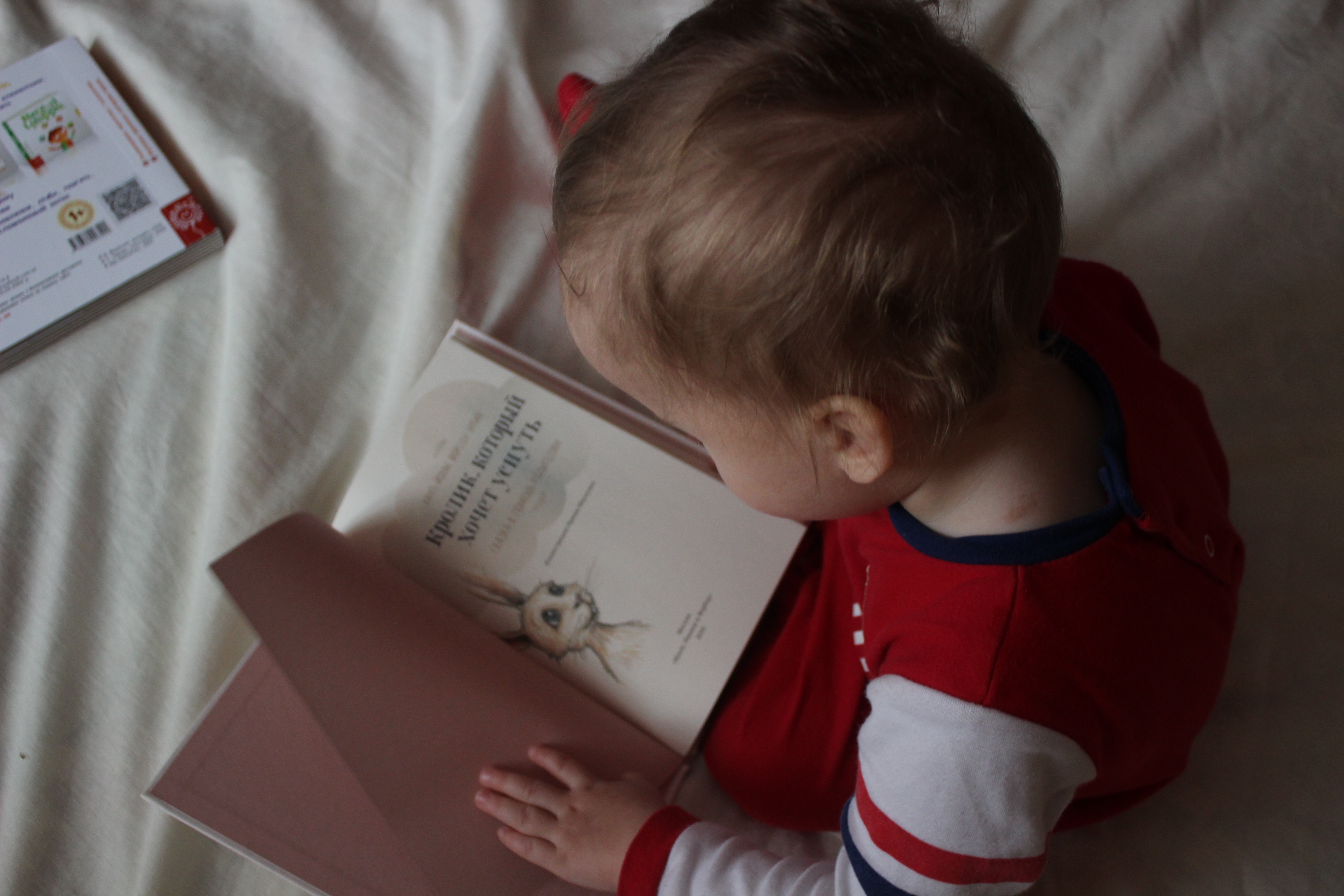 Toddler reading a book.
