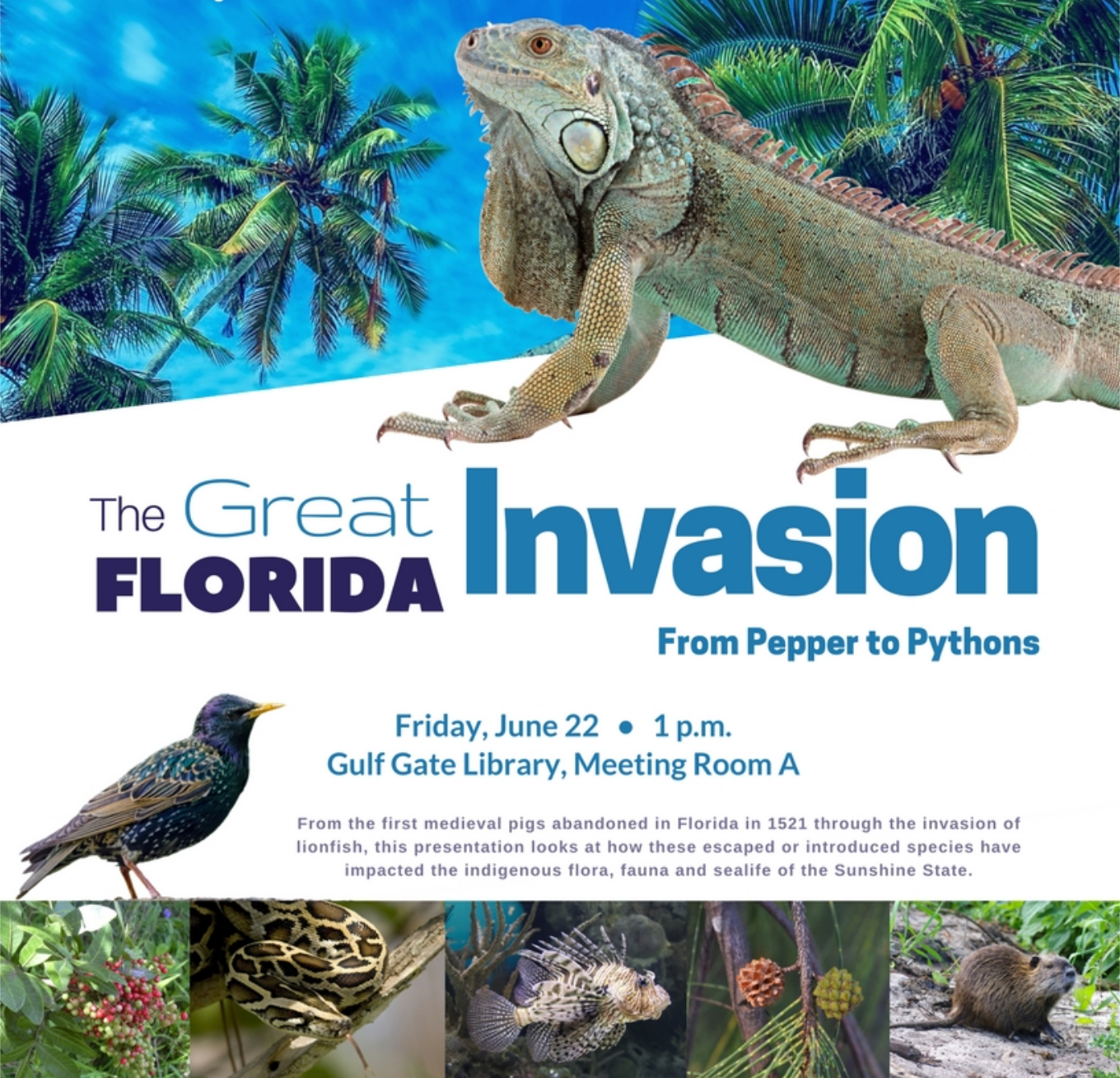 Great Florida Invasion image