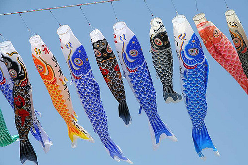 A photograph of a row of Japanese carp kites or "koinoburi"