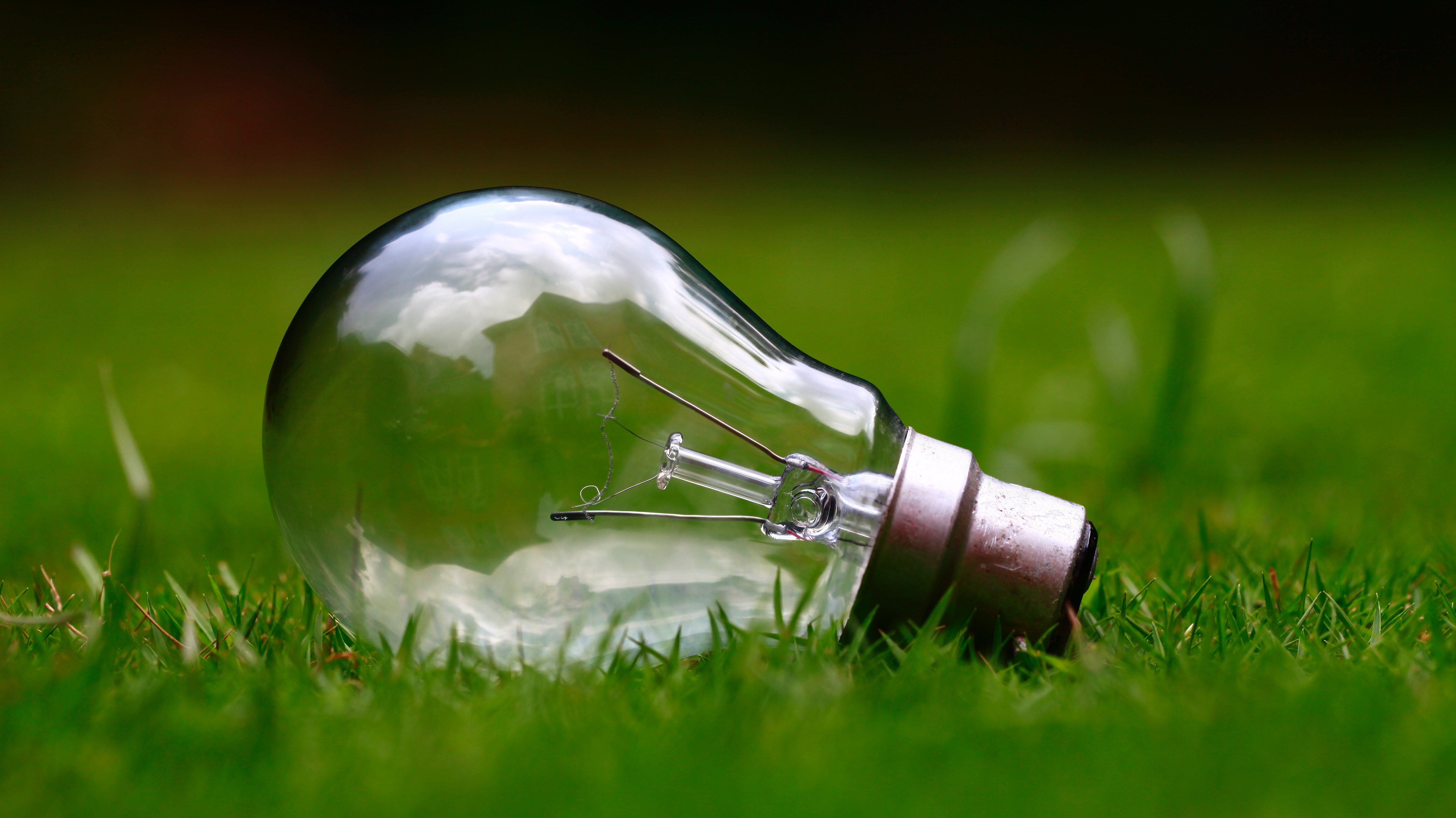 Light bulb laying in grass