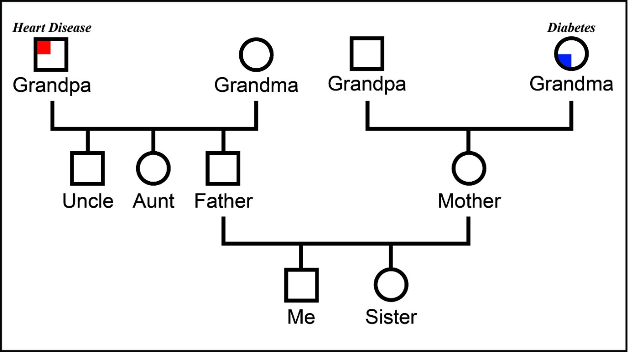 Genealogy word and tree with leaves, as a symbol for a family tree.