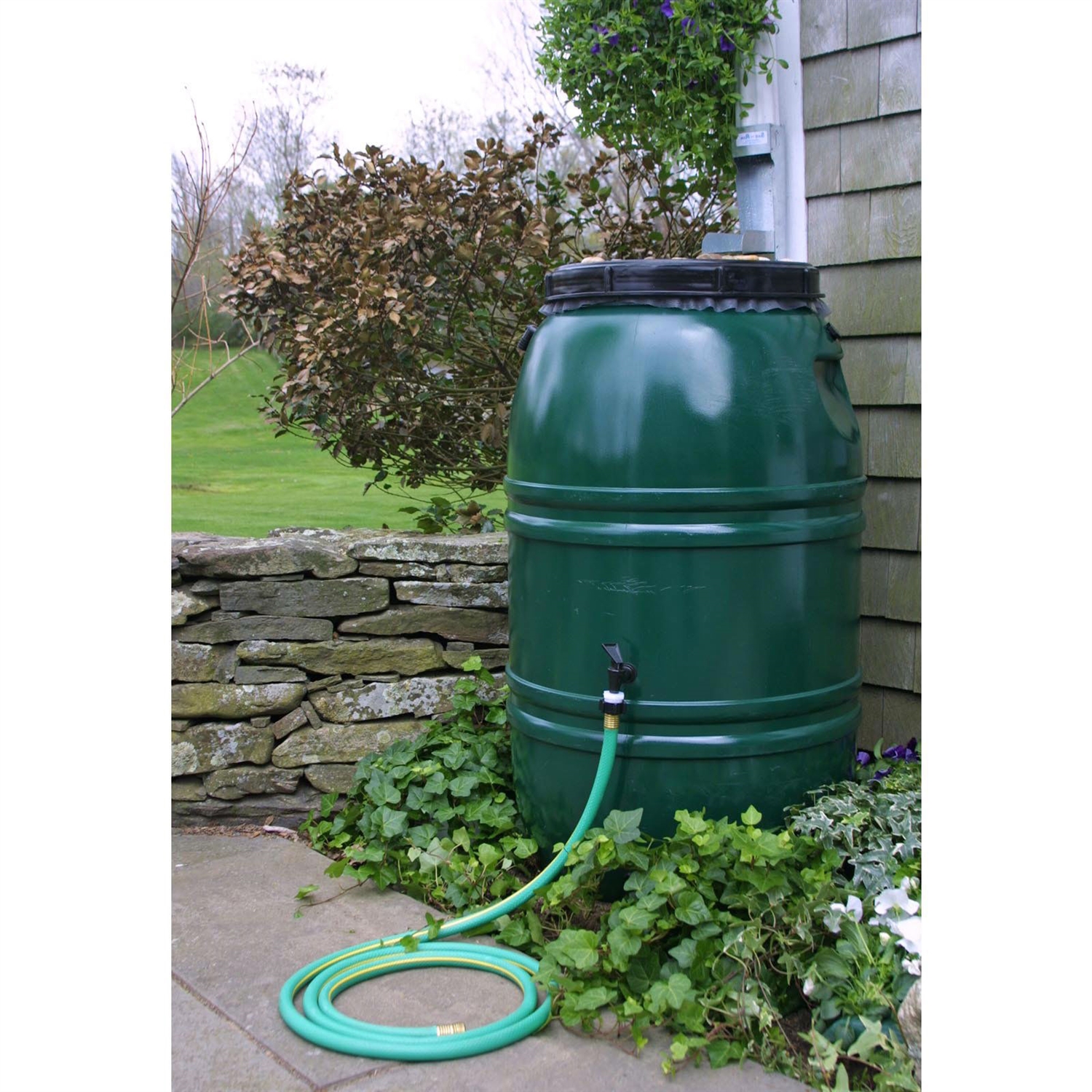 Image of rain barrel.