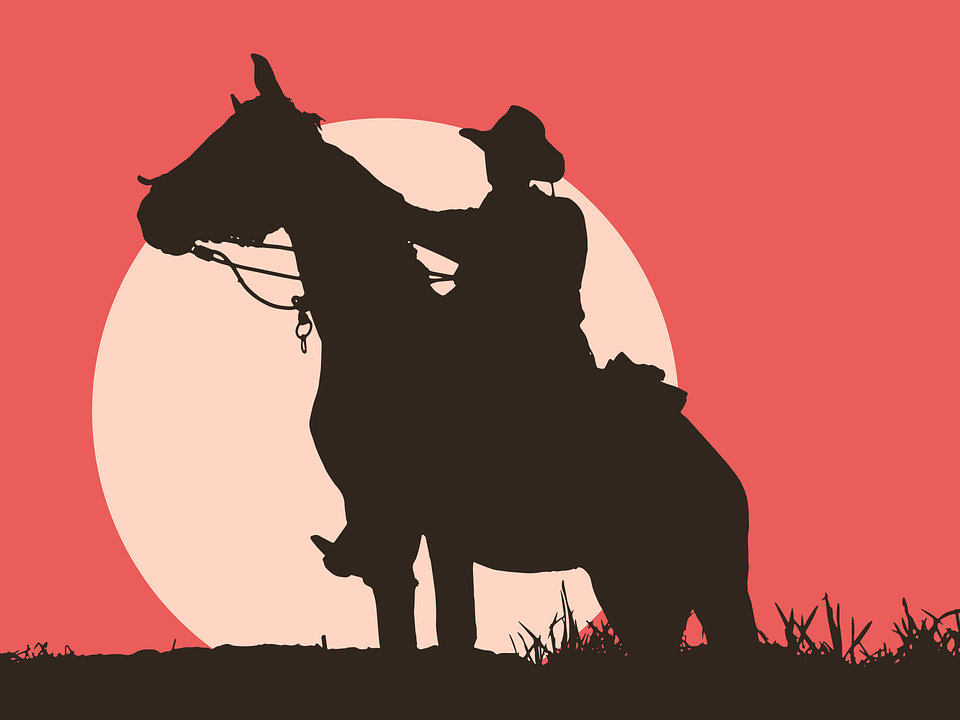 Cowboy on a horse in silhouette