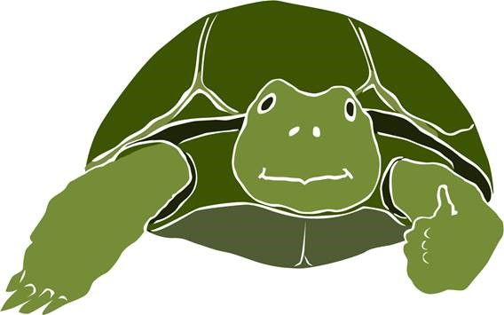 Gopher Tortoise Shellebration 2020