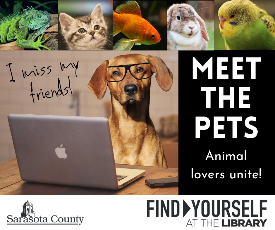 Meet the Pets!