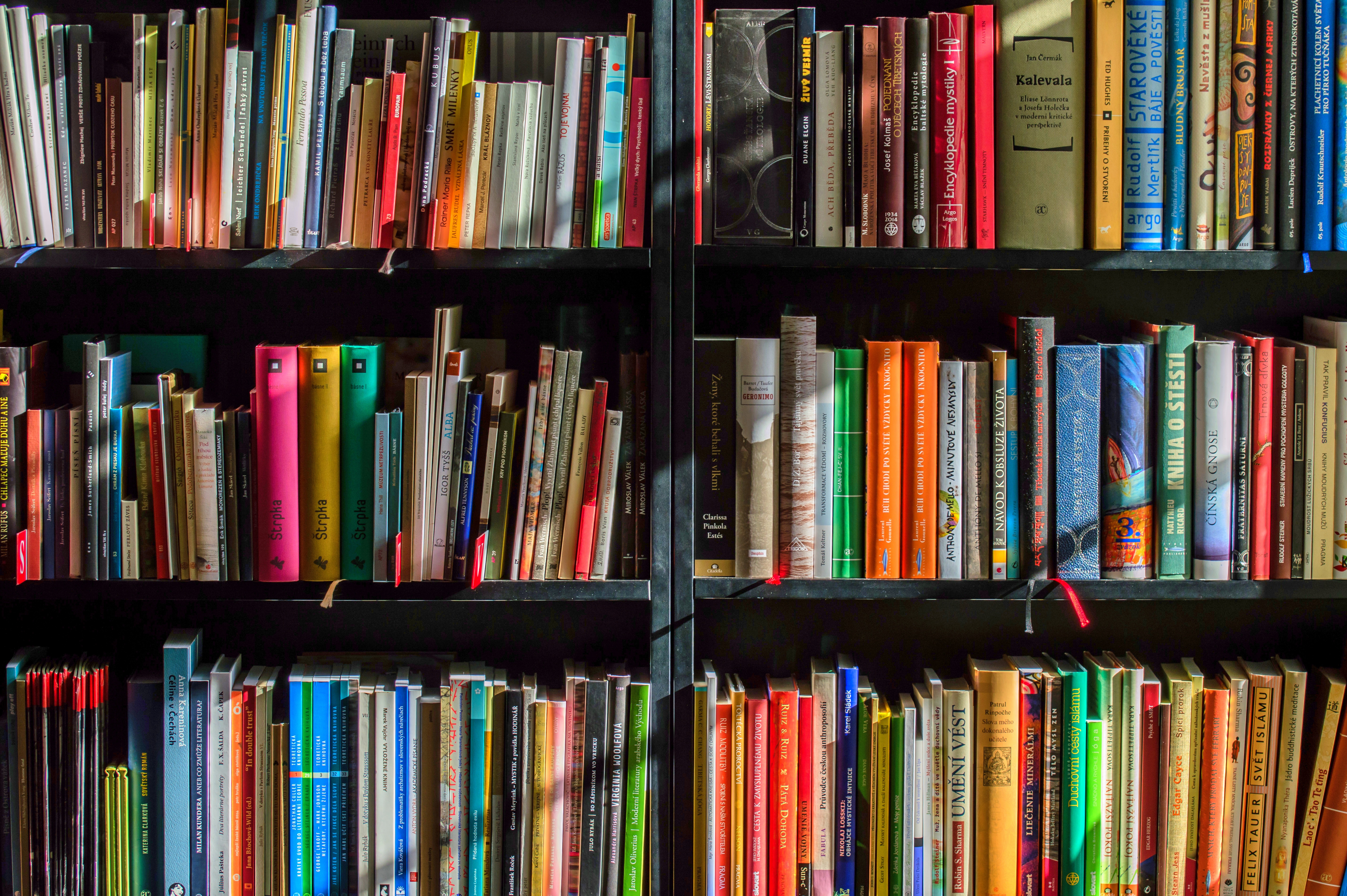 Colorful shelf of many books.