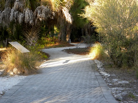Outdoor park trail surrounded by native plants and trees