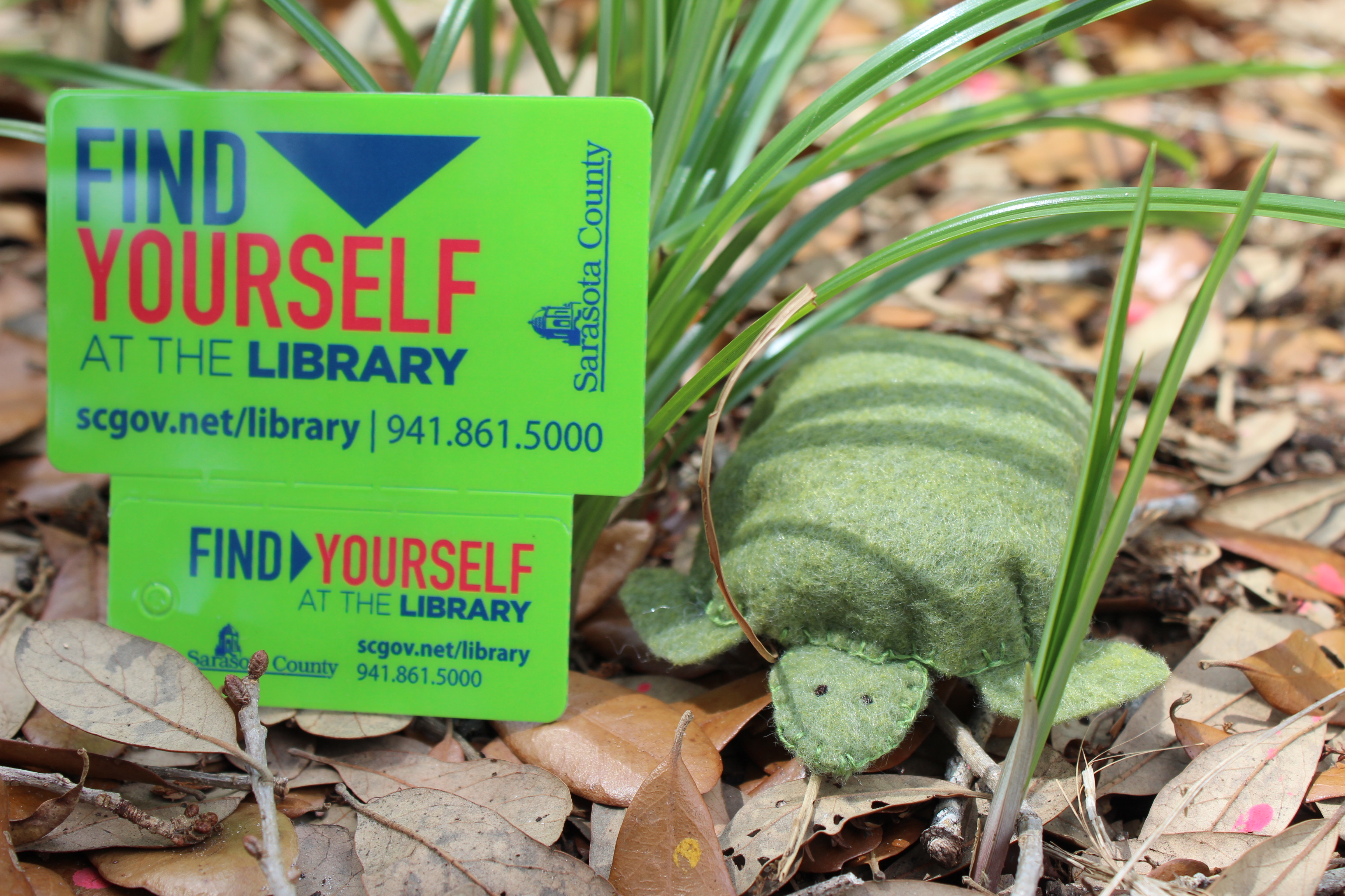 Sewn gopher tortoise with library card