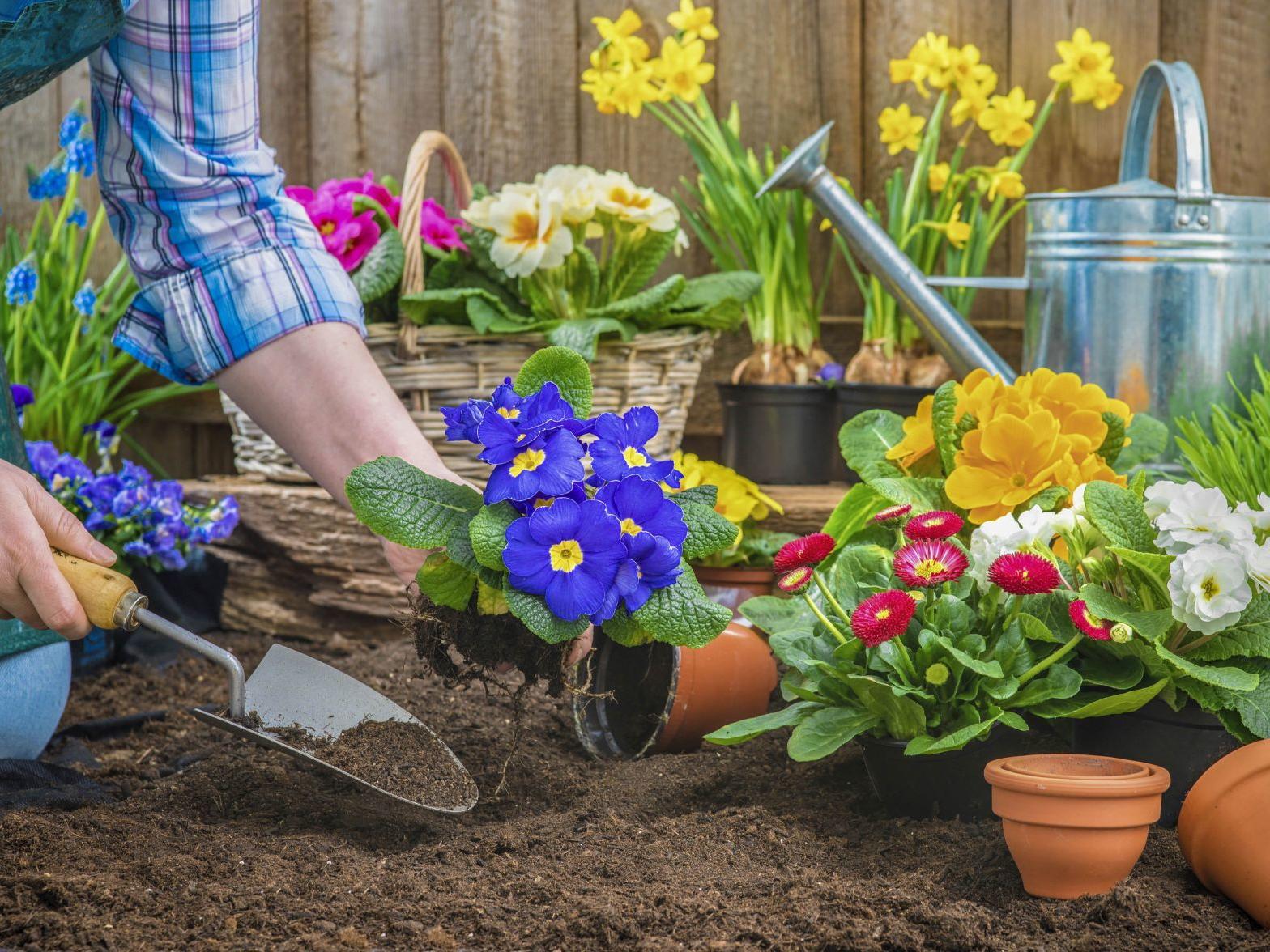 various flowers and plants being put in the ground by a person