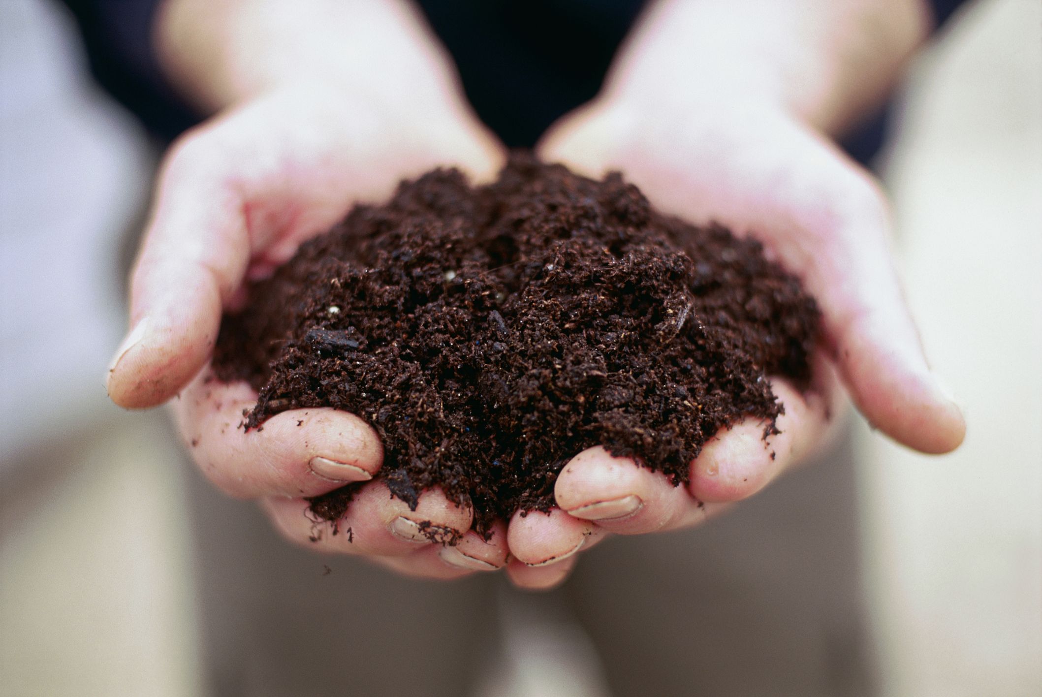 Two hands holding soil from a compost pile.