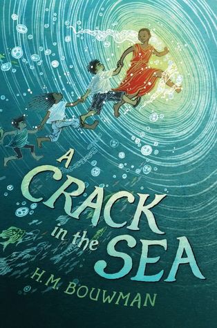 A Crack in the Sea by HM Bouwman
