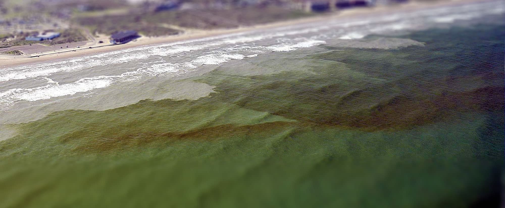 Coastline photo of a red tide algae bloom in the gulf water.