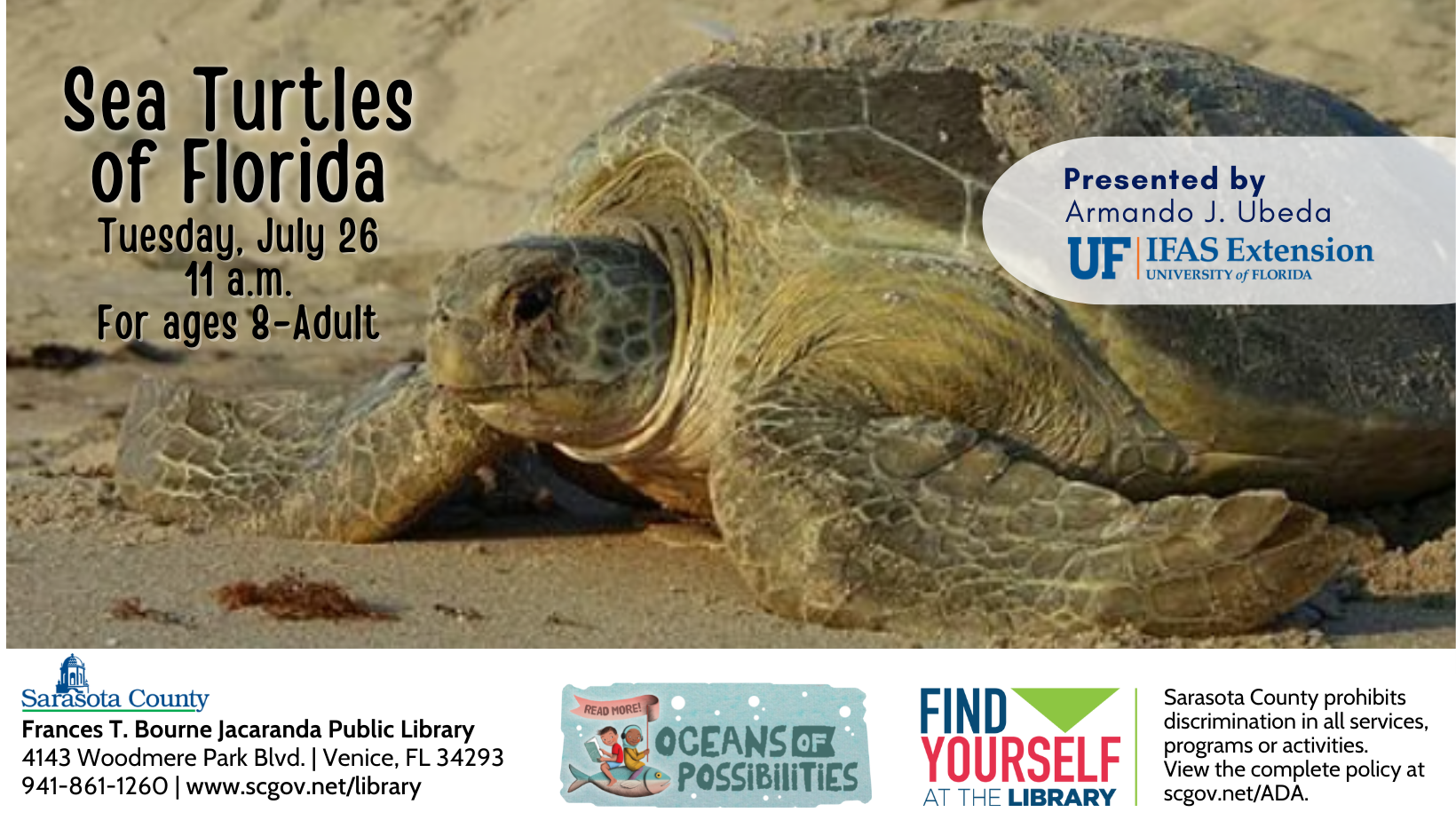 Sea Turtles promotional image