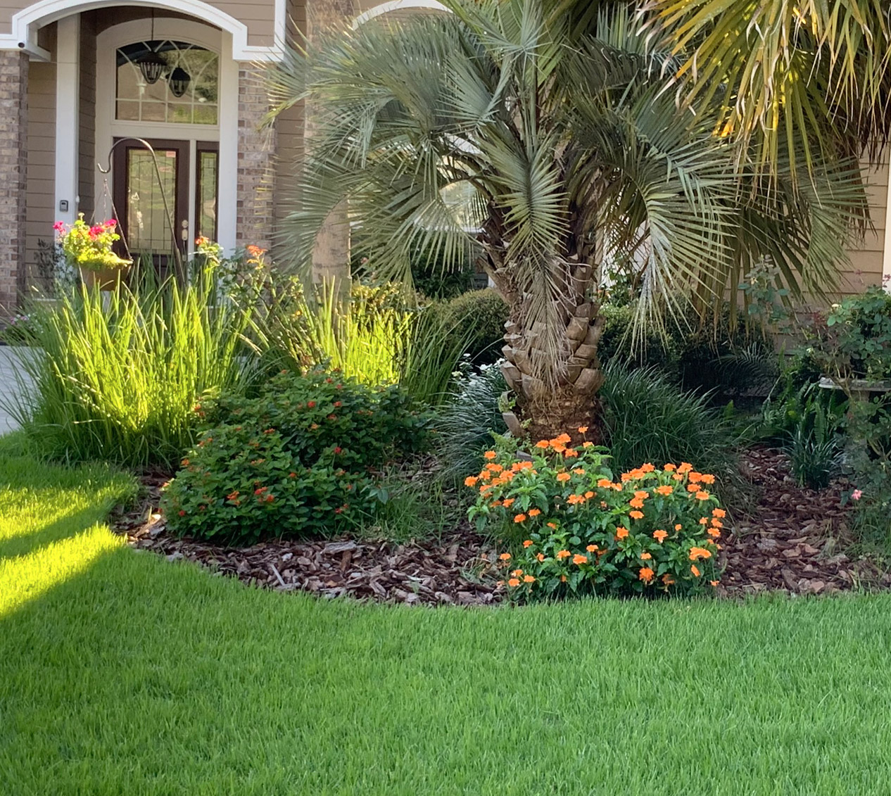 An example of a Florida Friendly Landscape - palm trees, plants, flowers and grass.
