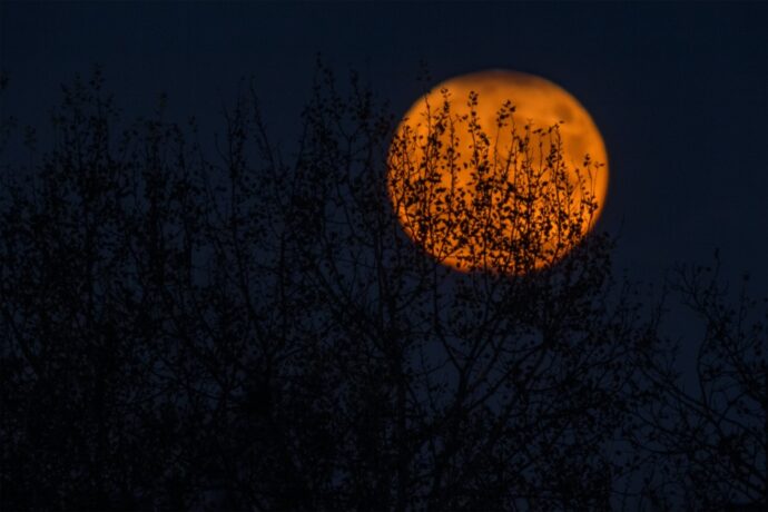 Large orange moon on dark night sky.