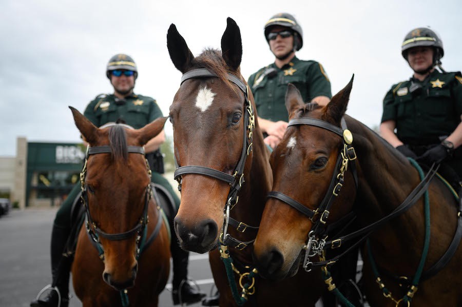 Horses and officers