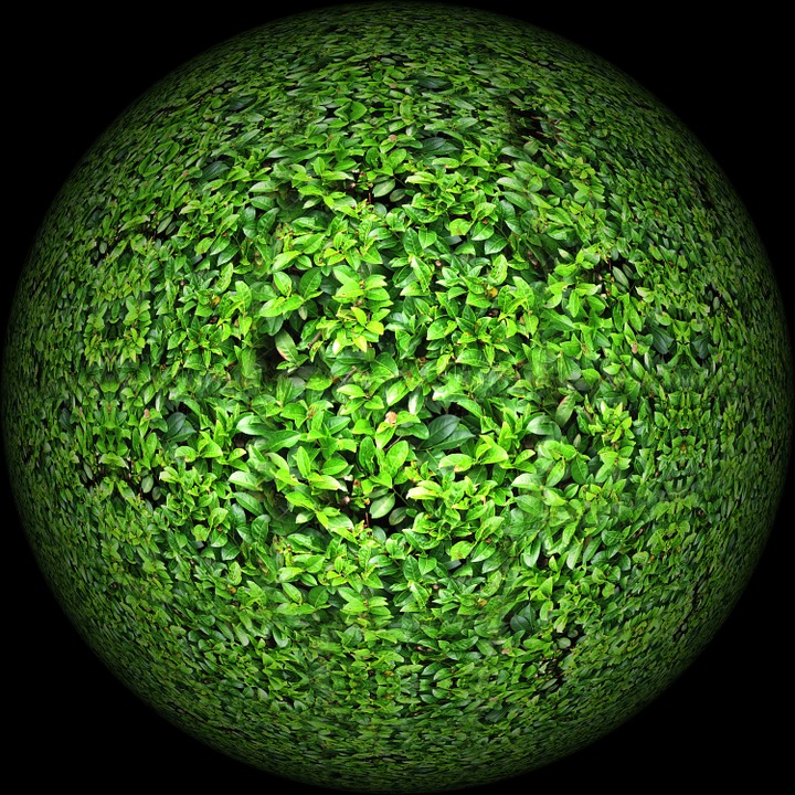 Earth covered in green plants