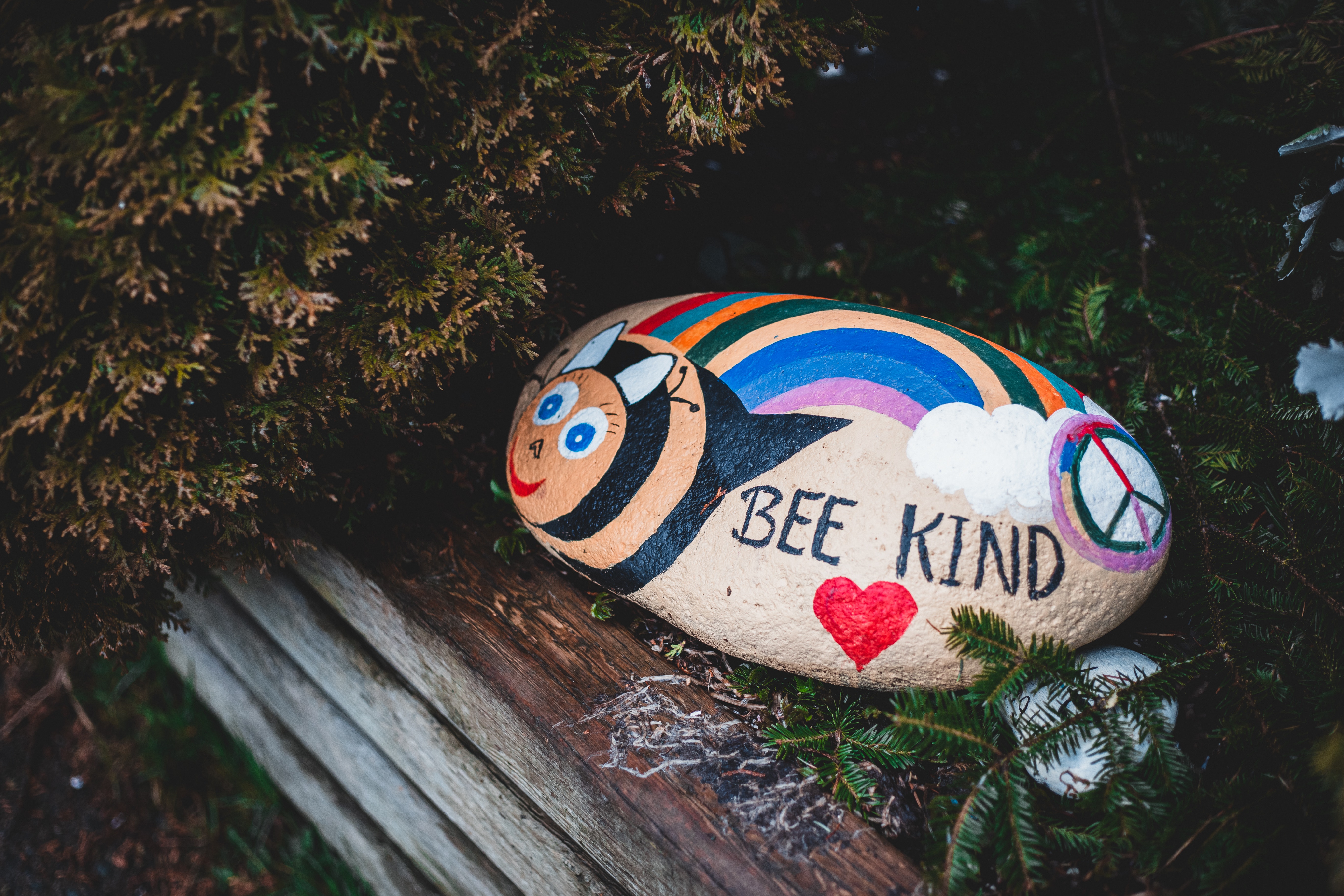 painted rock reading 'bee kind'