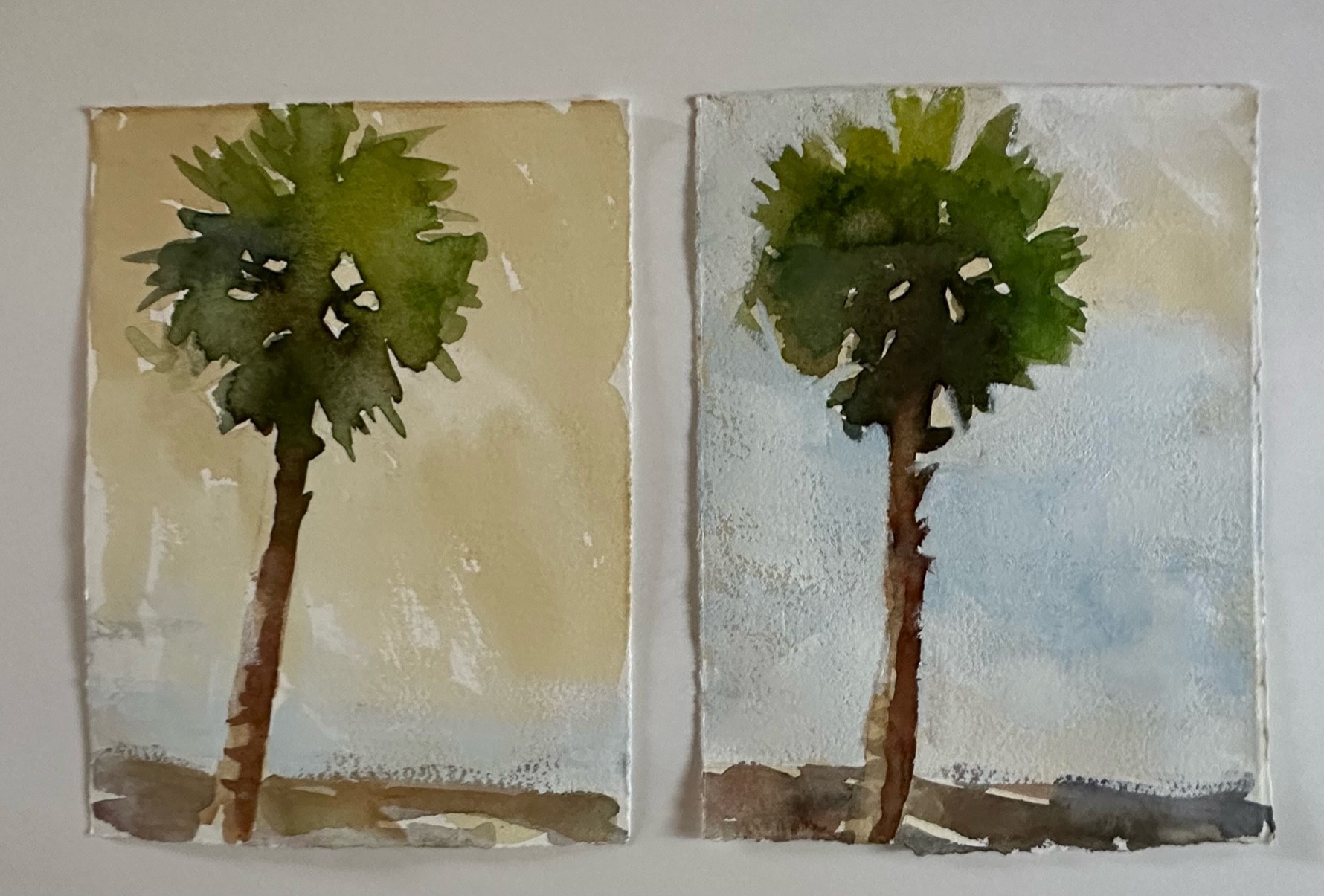 Watercolor - Sabal Palm