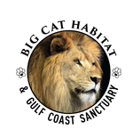 Big Cat Habitat Logo