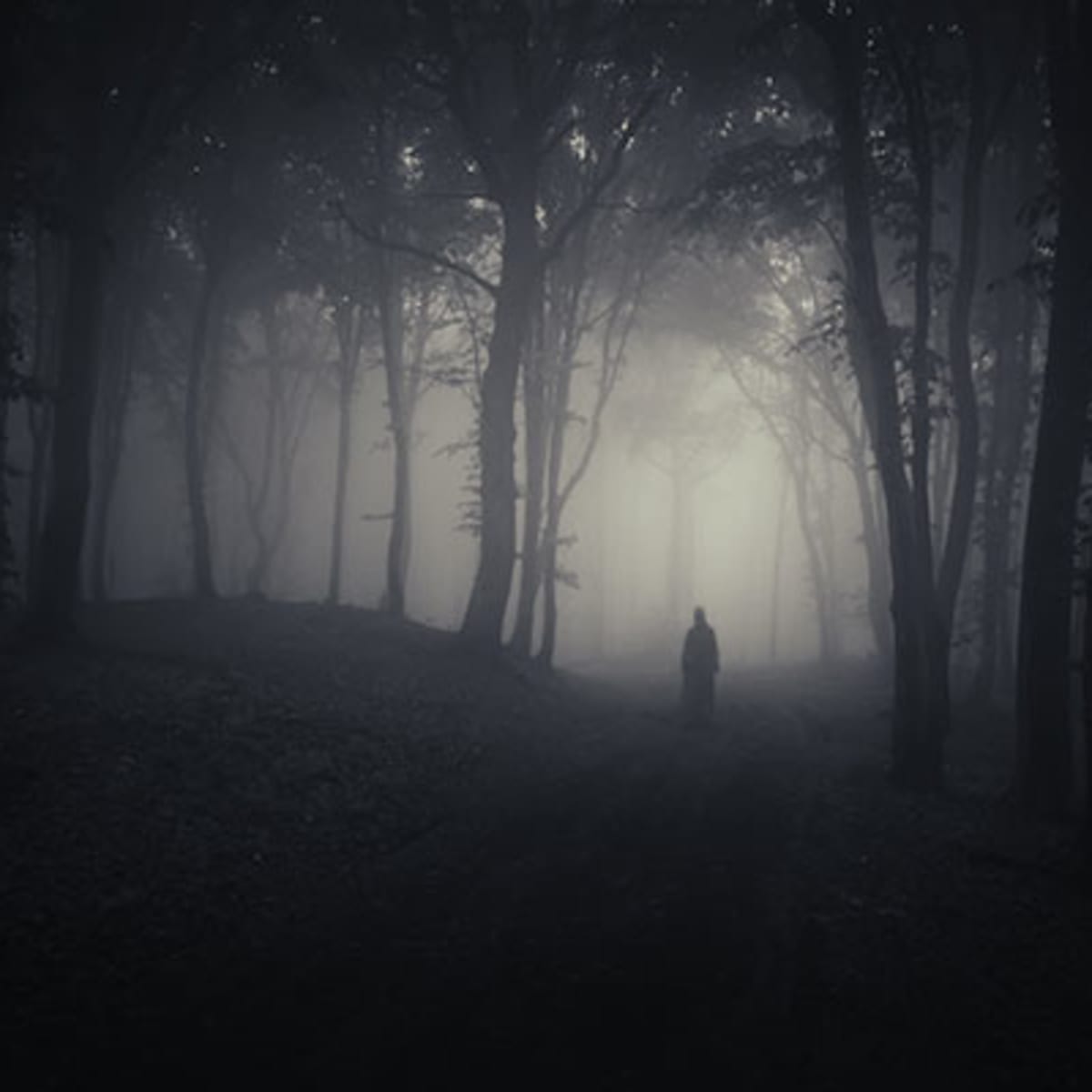 Black and white photo of a foggy forest with a ghostly image.
