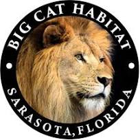 Big Cat Habitat