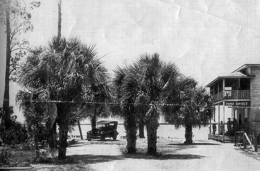 Old black and white photo of palm trees, and old car, and wooden building.