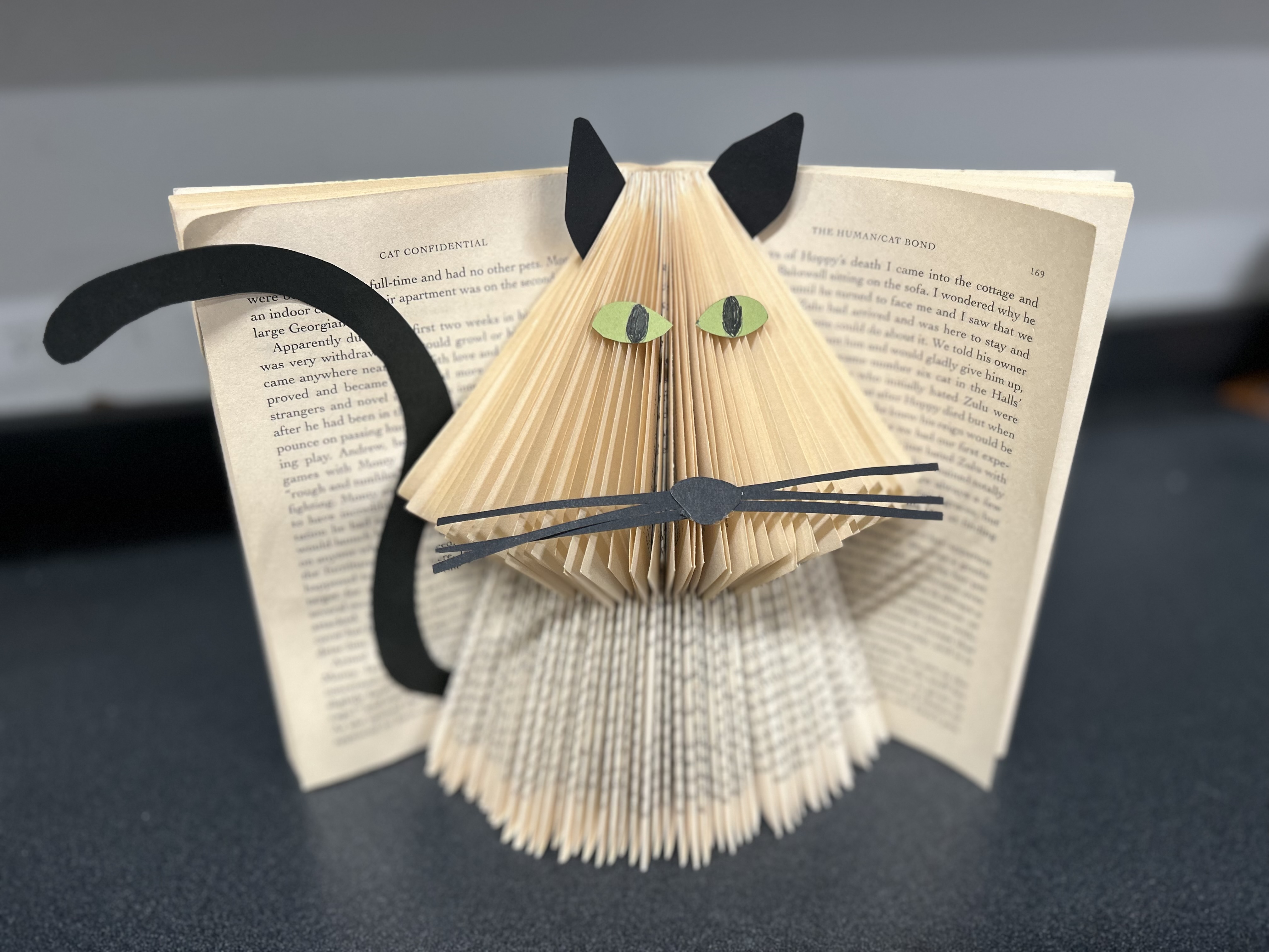 Recycle a book into a book animal