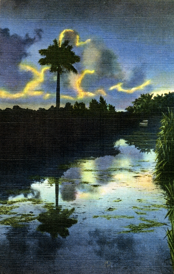 A color photograph of a waterway with palm trees and vegetation. 