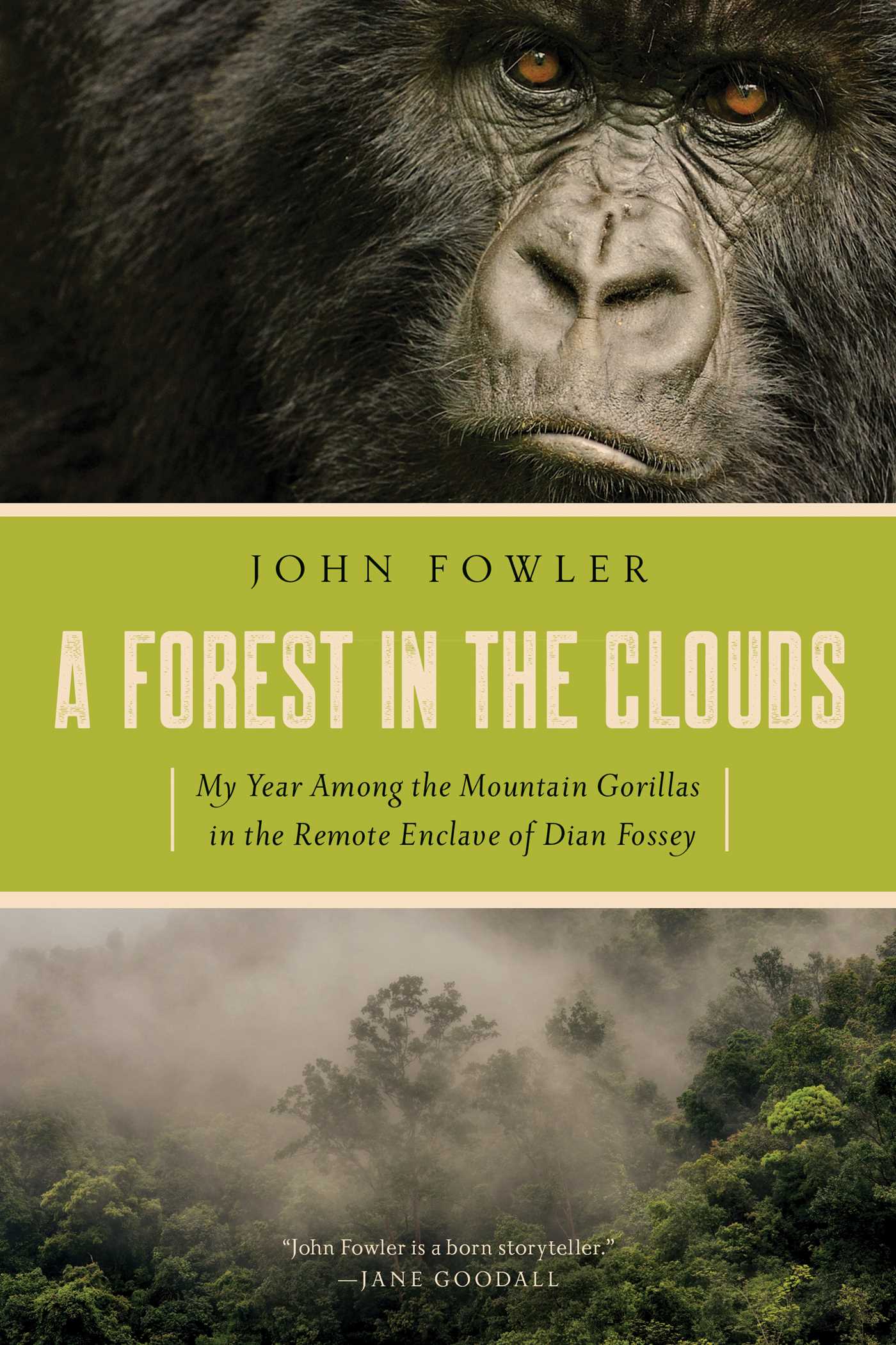 A forest in the Clouds book jacket cover