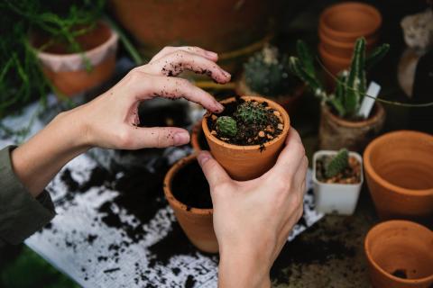 picture of hands potting plants for GARDEN  Club activity