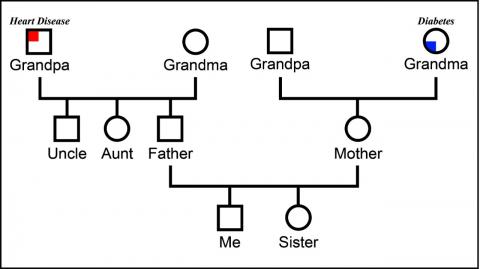 Genealogy word and tree with leaves, as a symbol for a family tree.