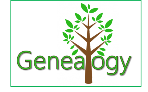 Genealogy with tree in full leaf as a symbol of a family tree.