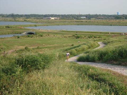 Celery Fields