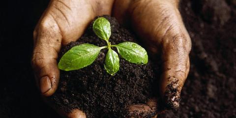 Composting image, hands holding dirt and a small plant