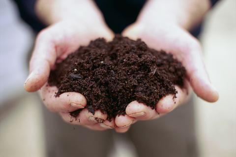 hands holding compost