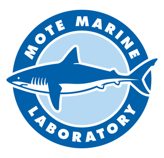 Mote Marine Laboratory Logo