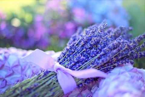 A bundle of lavender tied with a pink ribbon.