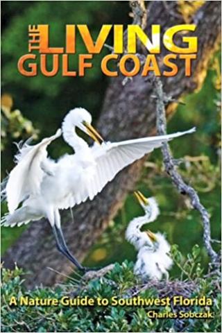 Book Cover: The Living Gulf Coast by Charles Sobczak 