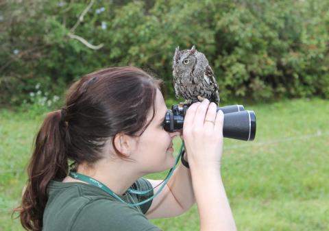 birdwatching