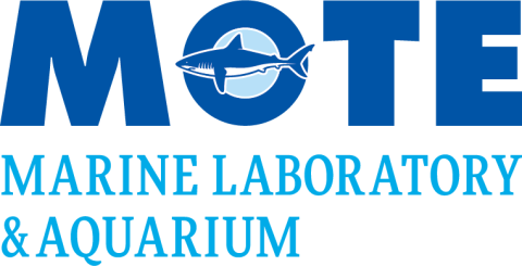 Mote Marine Laboratory & Aquarium