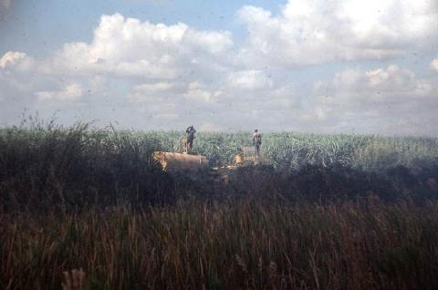 A field being burned under watchful supervision. 