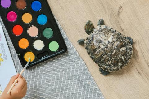 Turtle sitting next to a box of paints