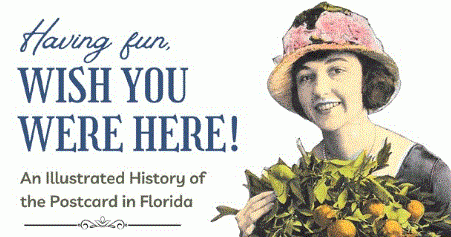 An illustrated history of the postcard in Florida