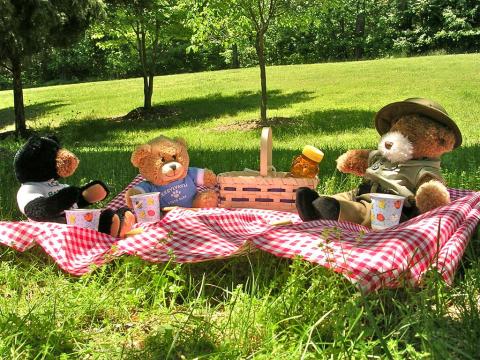 Stuffed bears sitting on a checkered cloth with a picnic basket.