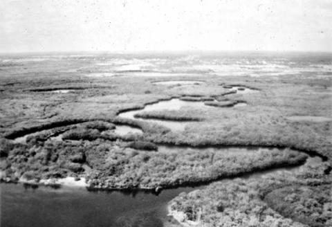 A black and white photograph of Charlotte Harbor. 