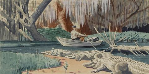 A mailman rows a boat along a Florida river surrounded by 3 alligators in this reproduction of a mural by James Edward Hamilton