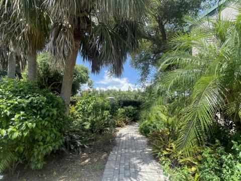 Elsie Quirk Library Reading Garden pathway with lined with green plants and trees.