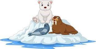 Cartoon drawing of arctic animals - polar bear, seal and walrus