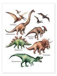 Poster of 7 different dinosaur species.